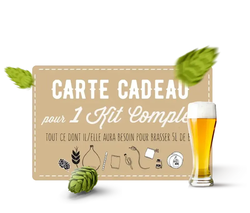 Kit de Brassage 5 Litres Bière Blonde - Pale Ale Française - Coffret Cadeau  pour Brasser sa Bière Artisanale Maison - NOTICE EN F - La cave Cdiscount