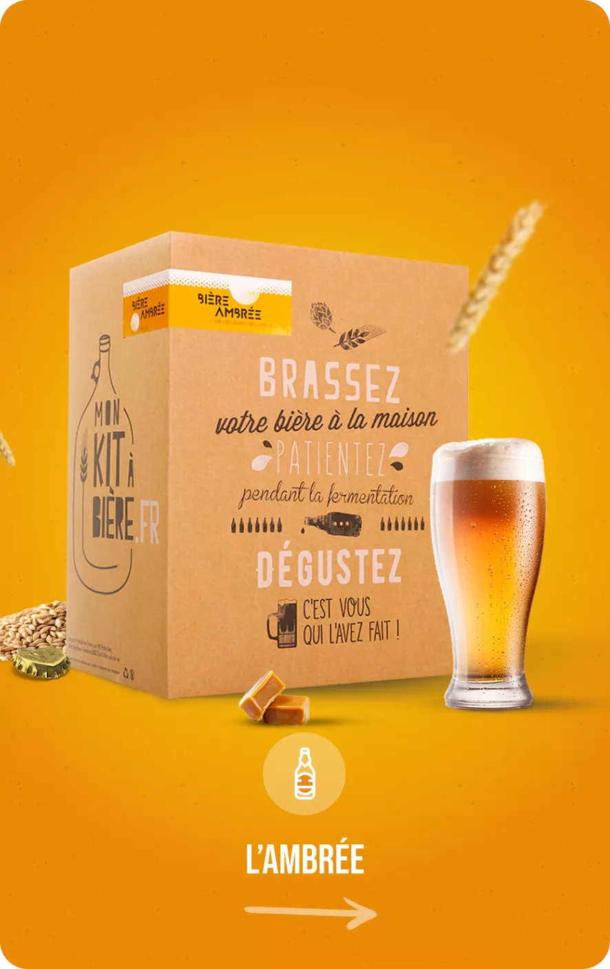 Brew Monkey® Kit de Brassage Bière Blonde, Kit Base de 5L, 6,4% Alc., Kit Fabrication Bière, Idée Cadeau Homme, Kit Bière, Coffret Cadeau  Homme